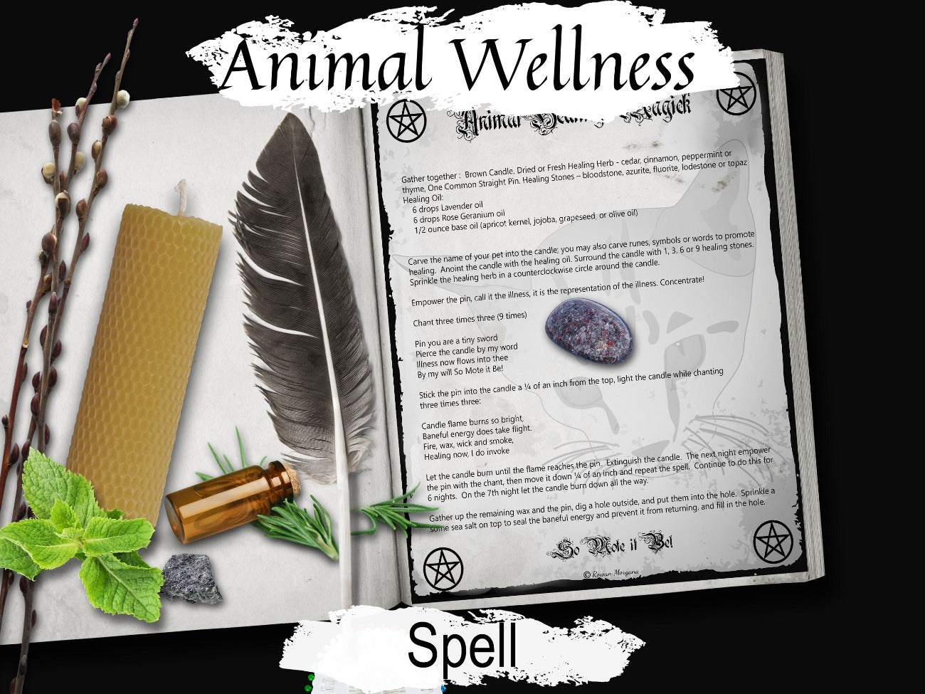 ANIMAL MAGIC, Wellness Spell for your Pet – Morgana Magick Spell