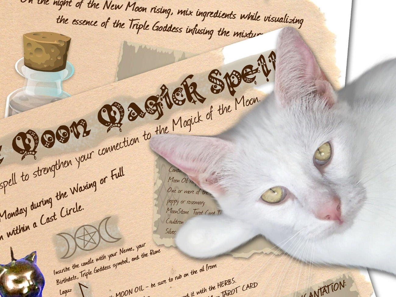Close-up of CAT MOON SPELL Printable 2 Pages - Morgana Magick Spell