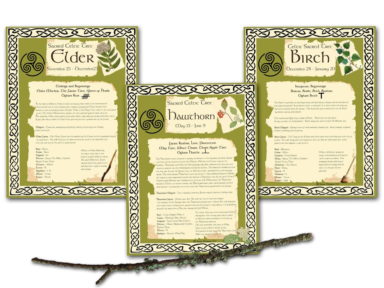 CELTIC TREES Bundle 15 Pages, Wicca Witchcraft Druid Tree Months, Celtic Tree Calendar, The Druids Calendar, Celtic Tree Month Ogham Lore- Morgana Magick Spell