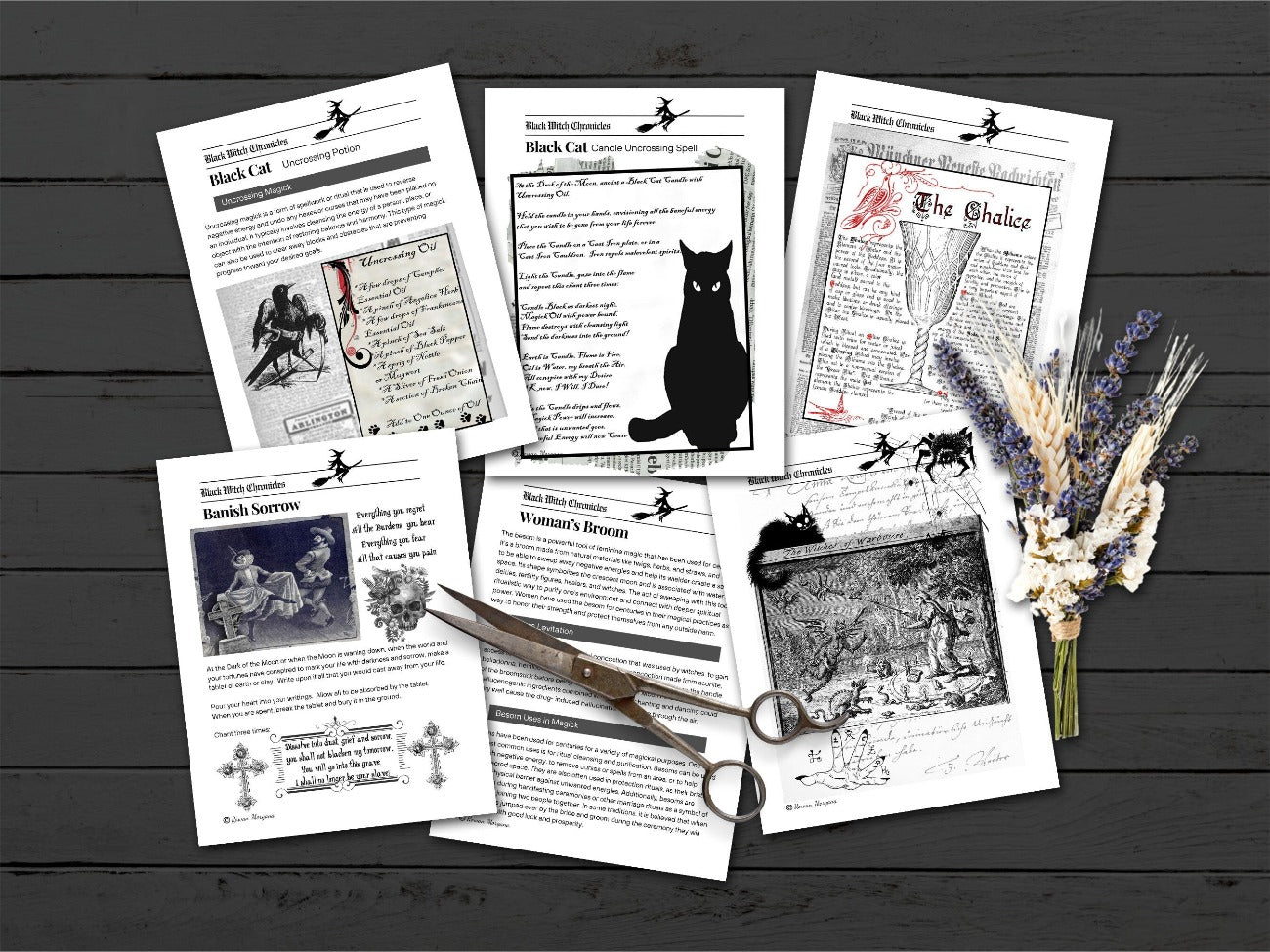 BLACK WITCH CHRONICLES, 24 pages, Olde Spells Potions, Incantations, Banish Spirits, Witchcraft belladonna flying oil, Besom and Chalice - Morgana Magick Spell