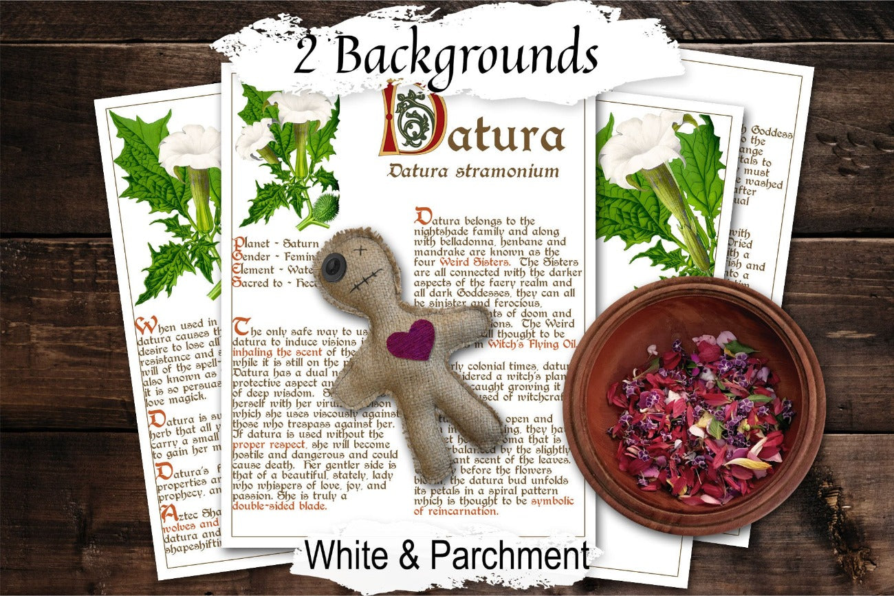 DATURA BANEFUL HERB 4 Pages, Grimoire Printable, Witchcraft Poisonous Plants & Herbs, Wicca Pagan Green Witch, Herbal Apothecary Magic - Morgana Magick Spell