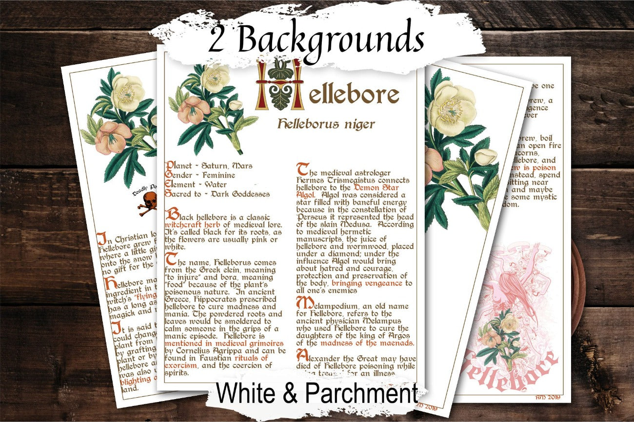HELLEBORE BANEFUL HERB 4 pages, Grimoire Printable, Witchcraft Poisonous Plants & Herbs, Wicca Pagan Green Witch, Herbal Apothecary Magic - Morgana Magick Spell