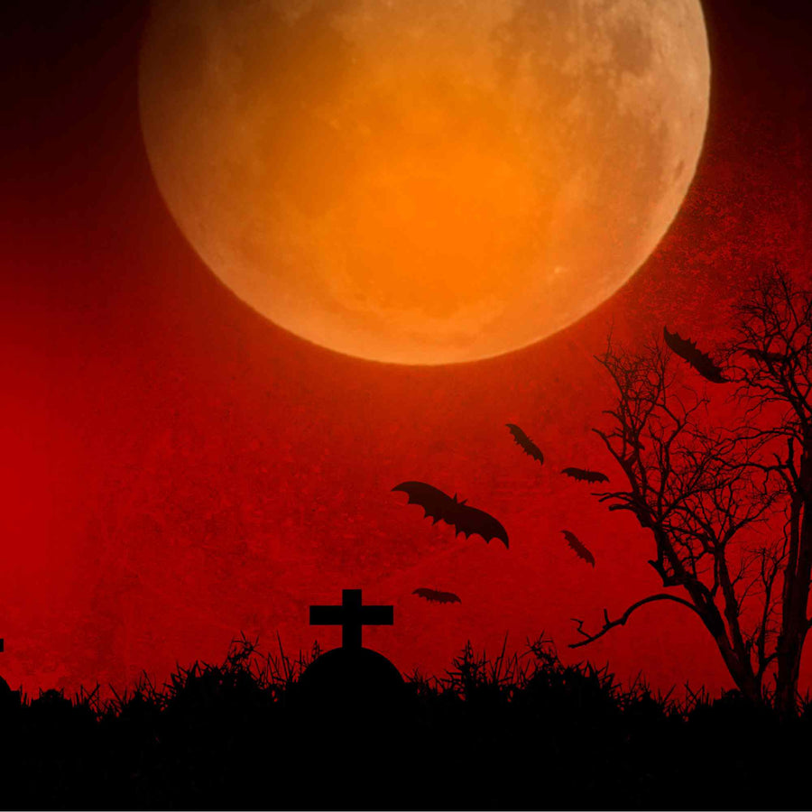 Unleashing the Magic of Samhain 2023: New Moon Solar Eclipse and Blood ...