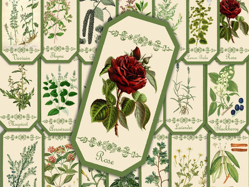 100 HERBAL APOTHECARY LABELS Printable