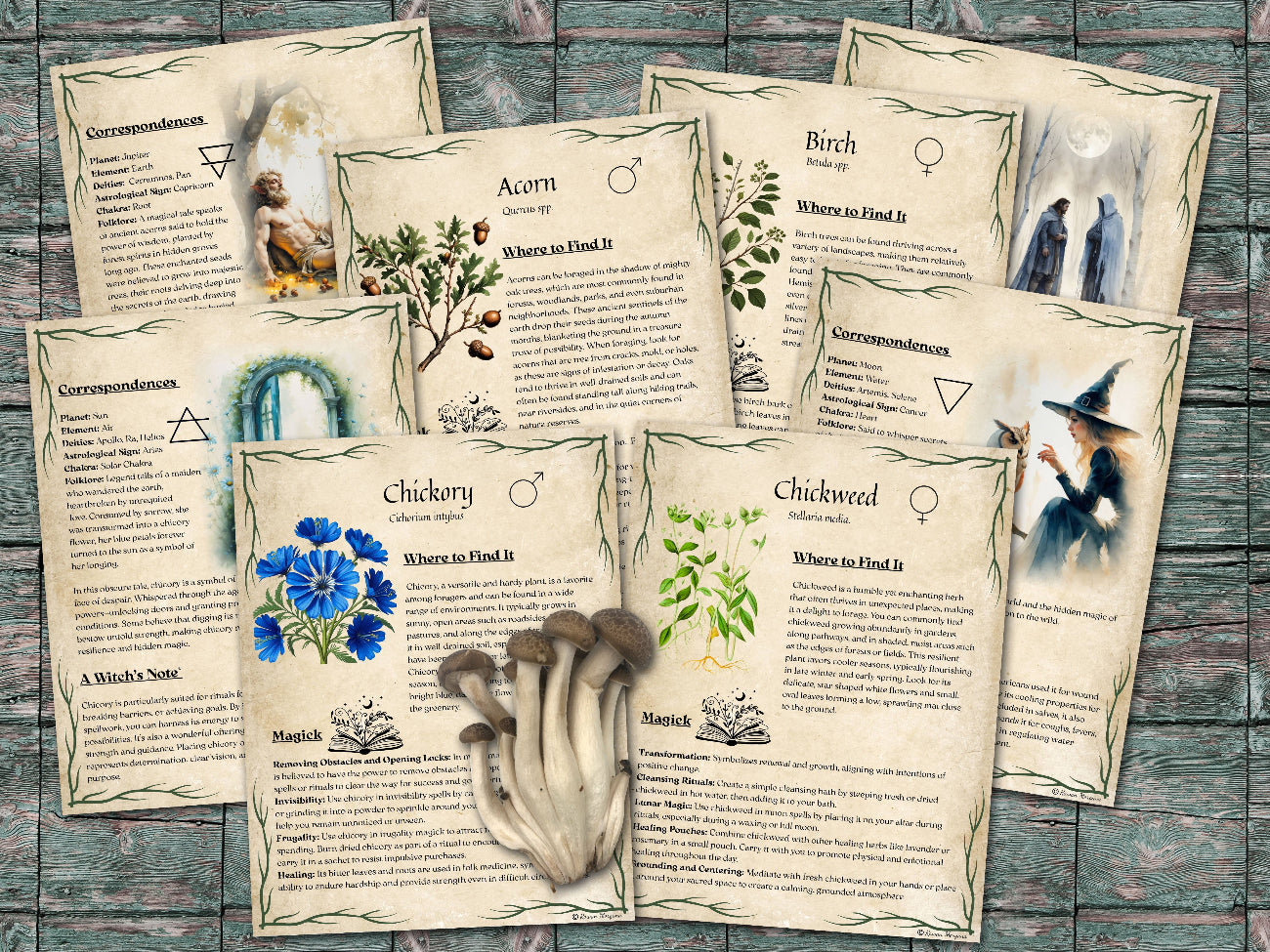GREEN WITCH'S FORAGING Guide, 51 pages, Magic Herbs & Plants Grimoire, Sacred Wisdom of Wildcrafting and Nature Magick for Book of Shadows - Morgana Magick Spell