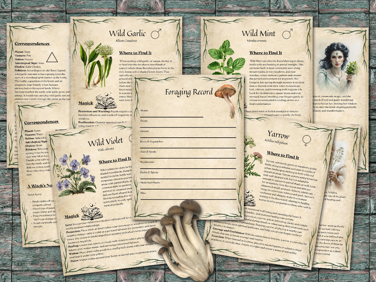GREEN WITCH'S FORAGING Guide, 51 pages, Magic Herbs & Plants Grimoire, Sacred Wisdom of Wildcrafting and Nature Magick for Book of Shadows - Morgana Magick Spell