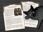 Black cat lying on a wooden surface with two sheets of paper titled 'The Witch's Familiar' and 'Common Animal Familiars'.