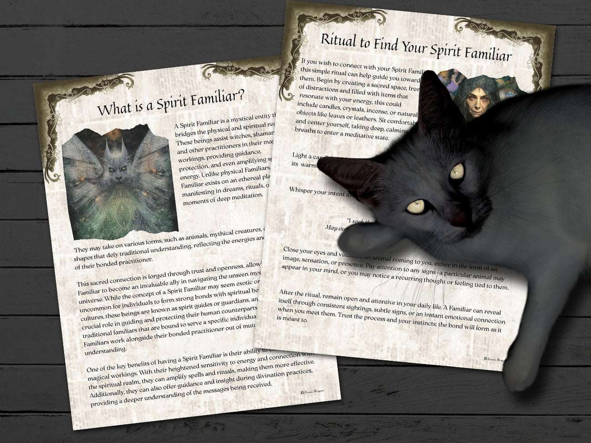 What is a Spirit Familiar and Ritual to Find Your Spirit Familiar pages with a large black cat laying on top of them.