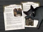 Black cat sitting on top of two fantasy-themed pages  with text and illustrations on Weaving Magick with your Familiar and Nurturing the Bond.