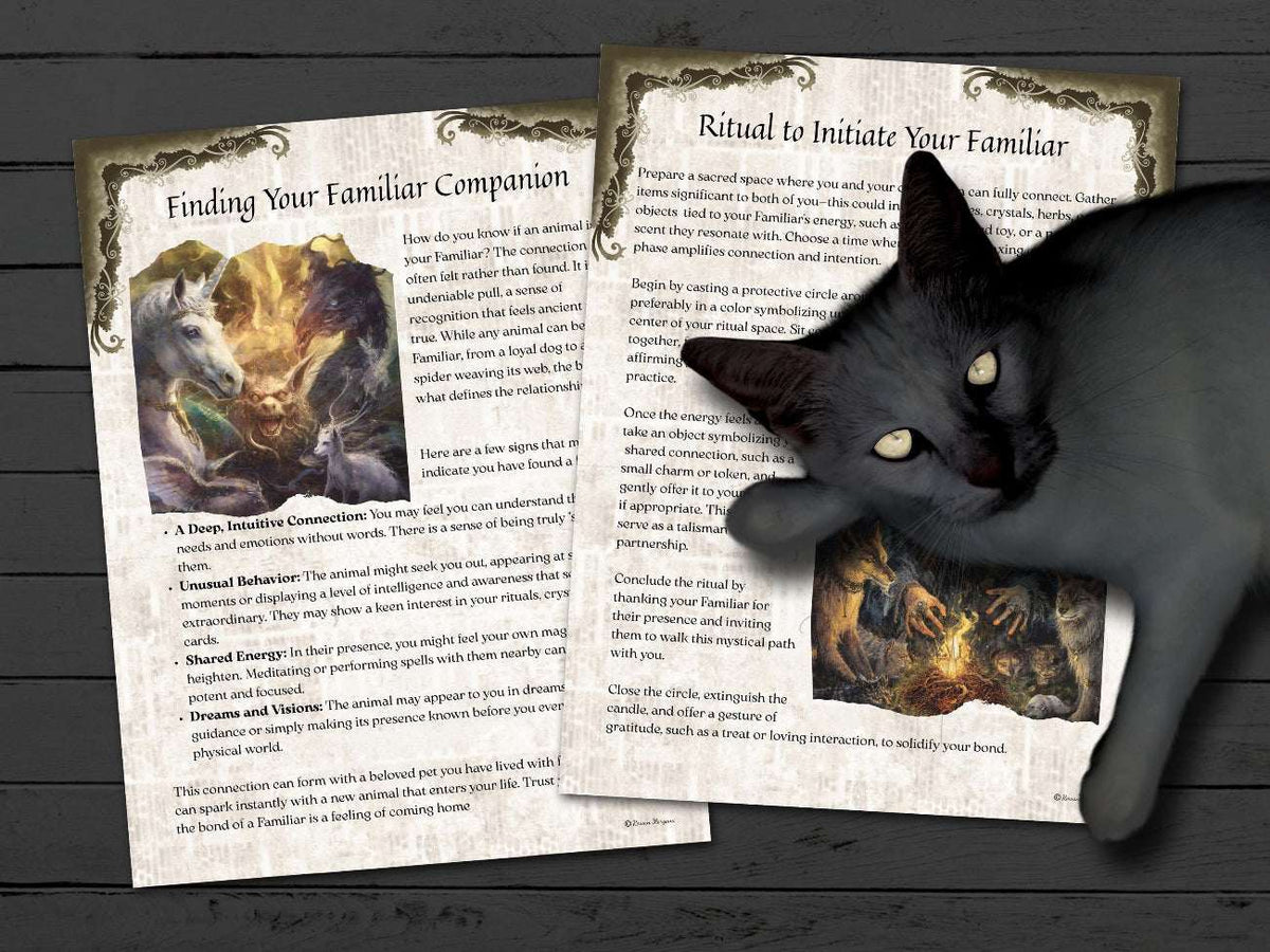 Black cat lying on top of a book with fantasy-themed pages on Finding your Familiar on a wooden surface 