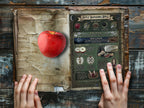 Red apple on an open book with a spellcasting diagram, held by hands on a wooden surface.
