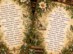 Close-up of Herbal Arcane pages three and four, pairing old witchcraft names with common herbs, framed by flowers and butterflies.