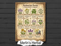 Arthurian Herbs of King Arthur’s England: Printable Infographic Page for your Grimoire