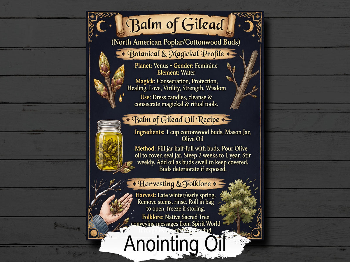 Balm of Gilead: Genuine Witchcraft Anointing Oil, Printable Recipe for Your Book of Shadows