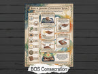 Poster titled 'Book of Shadows Consecration Ritual' on a wooden surface
