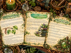 Leaf Divination and Spellcasting Grimoire | Green Witch Ritual Guide