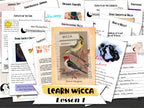 WICCA LESSON # 1 - Learn Witchcraft the Fun Way, Basic Concepts of Wicca & Deities, Energy Work, Homework, Printable Book of Shadows 41 Pages 