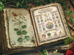 Ostara Sabbat: Infographic Digital Download, Spring Equinox Correspondences