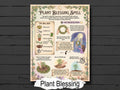 Plant Blessing Spell, witchcraft infographic page, printable magick for your Book of Shadows.