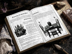 Open gothic ritual guide displayed on a dark surface, showing illustrated pages about a séance ritual, ancestor altar, and dumb supper, with vintage black-and-white artwork and ornate Victorian-style details.