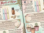 Magical spellbook pages with herbs, candles, and plants on a white background