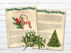The Yule Goat: A Winter Solstice Journey of Transformation, Yule Printable 13 Pages