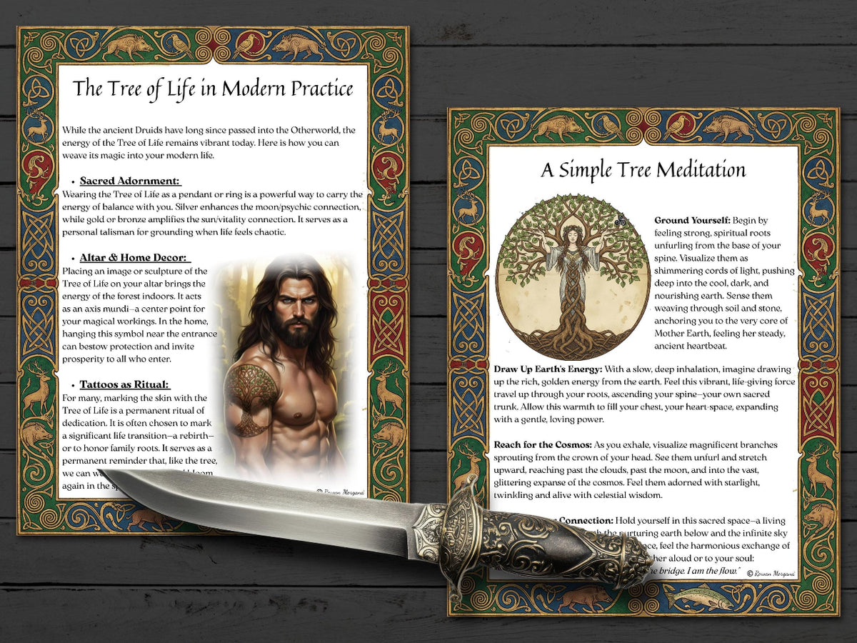 Two framed Tree of Life pages with text and illustrations on a wooden surface