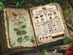 Winter Solstice Infographic: Grimoire Page for your Book of Shadows, Printable Wiccan Altar Art