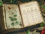 Open book with candle carving symbols and illustrations of plants and a butterfly.