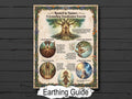Earthing Guide Infographic: Ground & Center with the Dryad Tree of Life