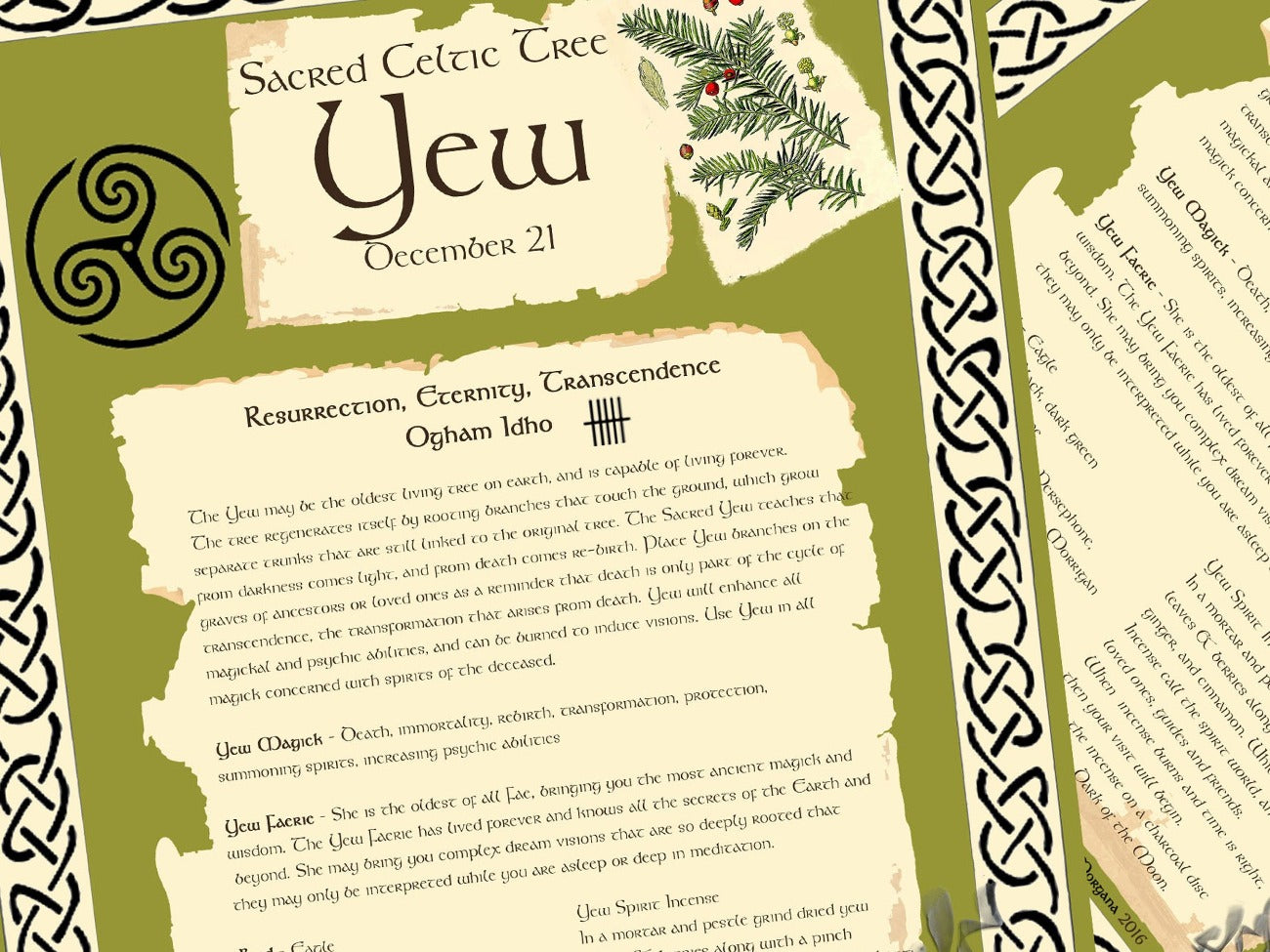 Closeup image of Yew Tree month printable.