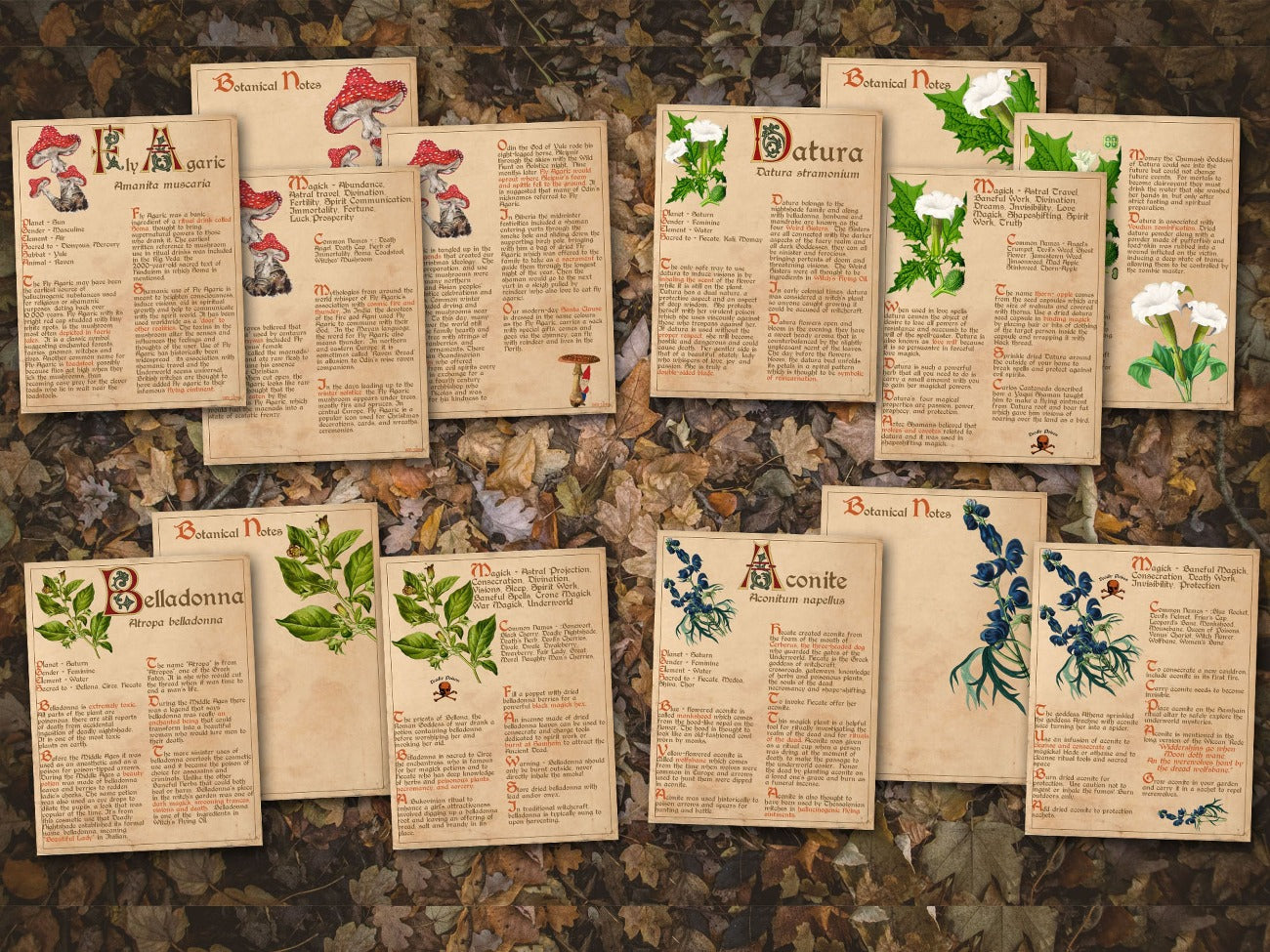 Fly Agaric, Datura, Belladonna, and Aconite BANEFUL HERBS Bundle, 13 Poison Botanicals, 46 Witchcraft Pages of Ritual Poisonous Plants, Wicca Witch Herbal Grimoire of Baneful Plants - Morgana Magick Spell