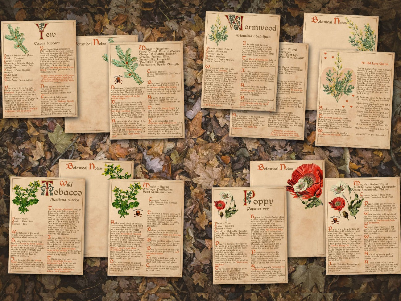 Yew, Wormwood, Wild Tobacco, and Poppy pages BANEFUL HERBS Bundle, 13 Poison Botanicals, 46 Witchcraft Pages of Ritual Poisonous Plants, Wicca Witch Herbal Grimoire of Baneful Plants - Morgana Magick Spell