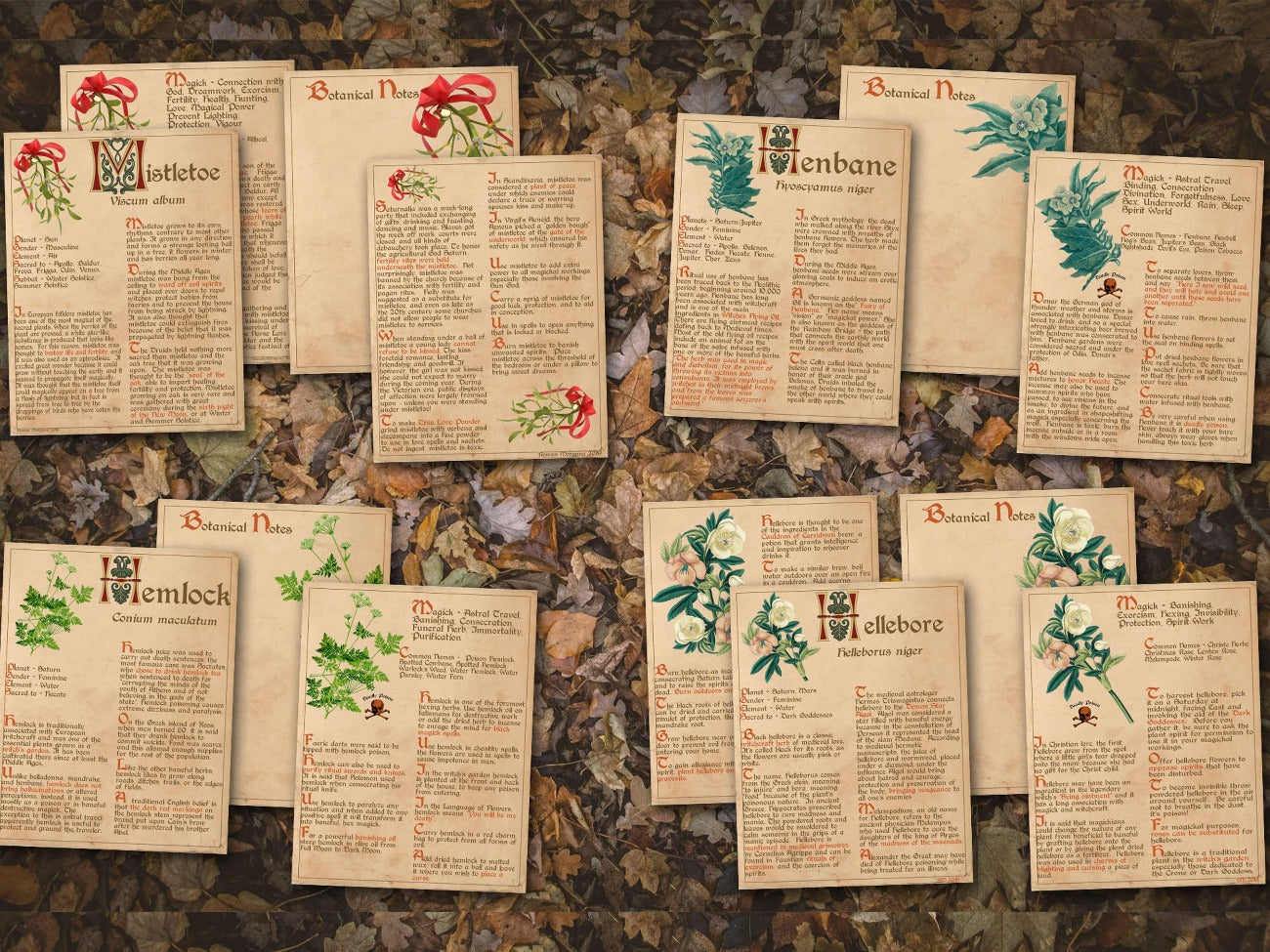 Mistletoe, Henbane, Hemlock, and Hellebore pages BANEFUL HERBS Bundle, 13 Poison Botanicals, 46 Witchcraft Pages of Ritual Poisonous Plants, Wicca Witch Herbal Grimoire of Baneful Plants - Morgana Magick Spell