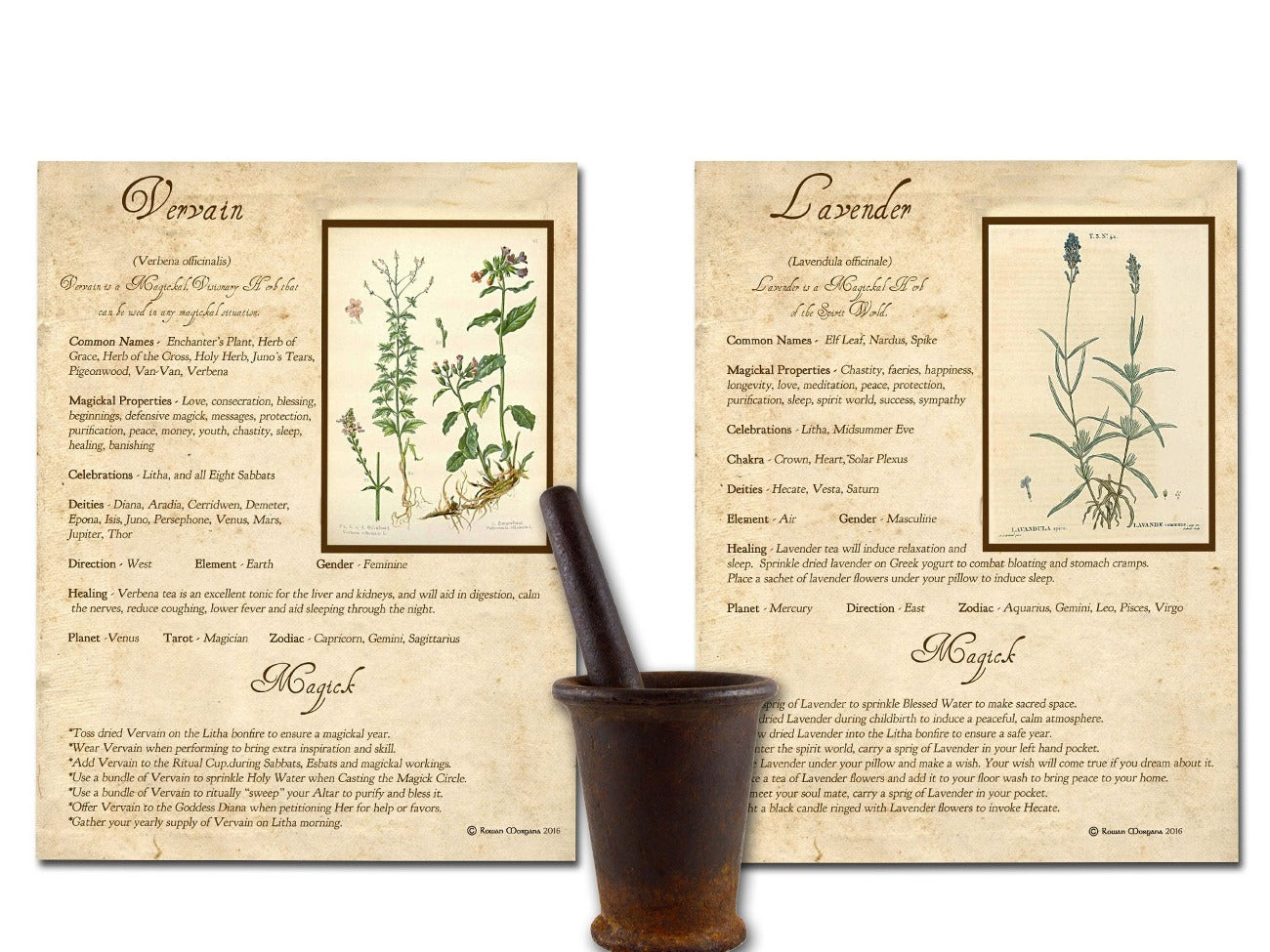 Vervain and Lavender WITCH&#39;S HERBS Bundle 10 Pages, Witch Herb Correspondences, Herbal Grimoire, Witchcraft Plant Uses, Herbal Reference, Wicca Witch Printable - Morgana Magick Spell