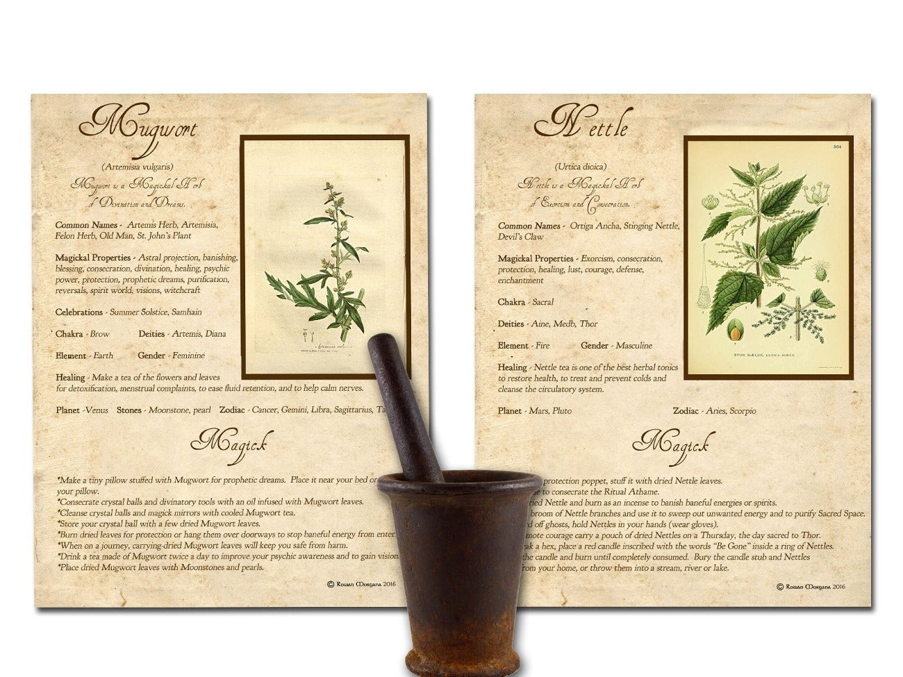 Marigold and Nettle WITCH&#39;S HERBS Bundle 10 Pages, Witch Herb Correspondences, Herbal Grimoire, Witchcraft Plant Uses, Herbal Reference, Wicca Witch Printable - Morgana Magick Spell