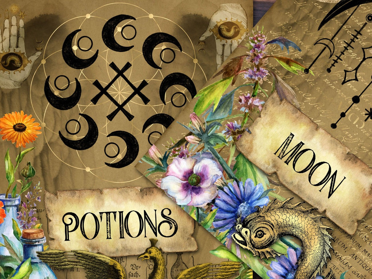 Closeup of Potions and Moon Wicca Book of Shadows divider pages. Beautiful Pagan parchment with fantasy creatures, pagan symbols, and flowers - Morgana Magick Spell
