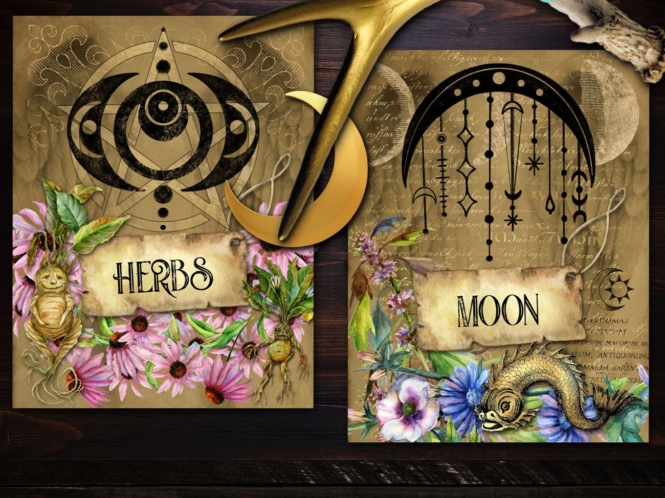 Closeup of Herbs and Moon Wicca Book of Shadows divider pages. Beautiful Pagan parchment with fantasy creatures, pagan symbols, and flowers - Morgana Magick Spell