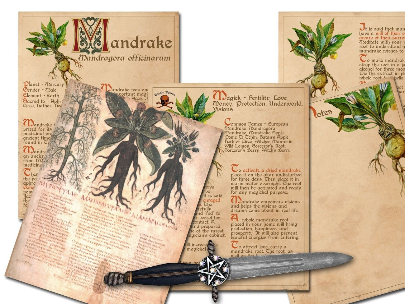 MANDRAKE BANEFUL HERB 5 Pages, Grimoire Printable, Witchcraft Poisonous Plants & Herbs, Wicca Pagan Green Witch, Herbal Apothecary Magic - Morgana Magick