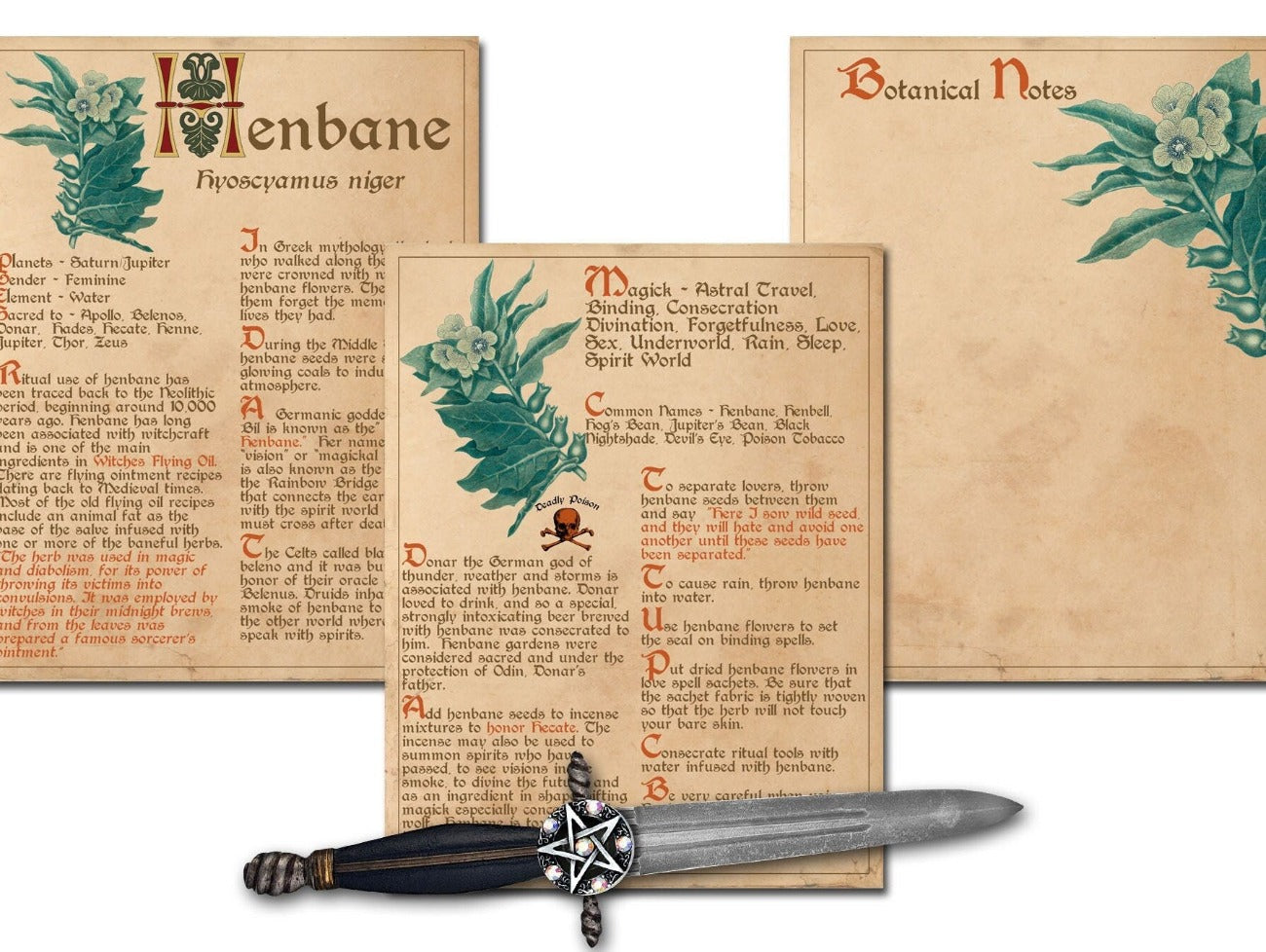 HENBANE BANEFUL HERB Printable 3 Pages - Morgana Magick Spell