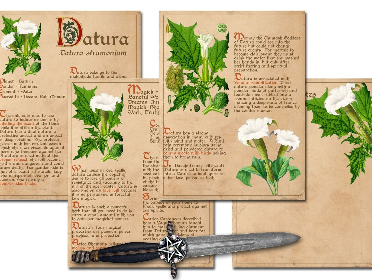 DATURA BANEFUL HERB 4 Pages, Grimoire Printable, Witchcraft Poisonous Plants & Herbs, Wicca Pagan Green Witch, Herbal Apothecary Magic - Morgana Magick Spell