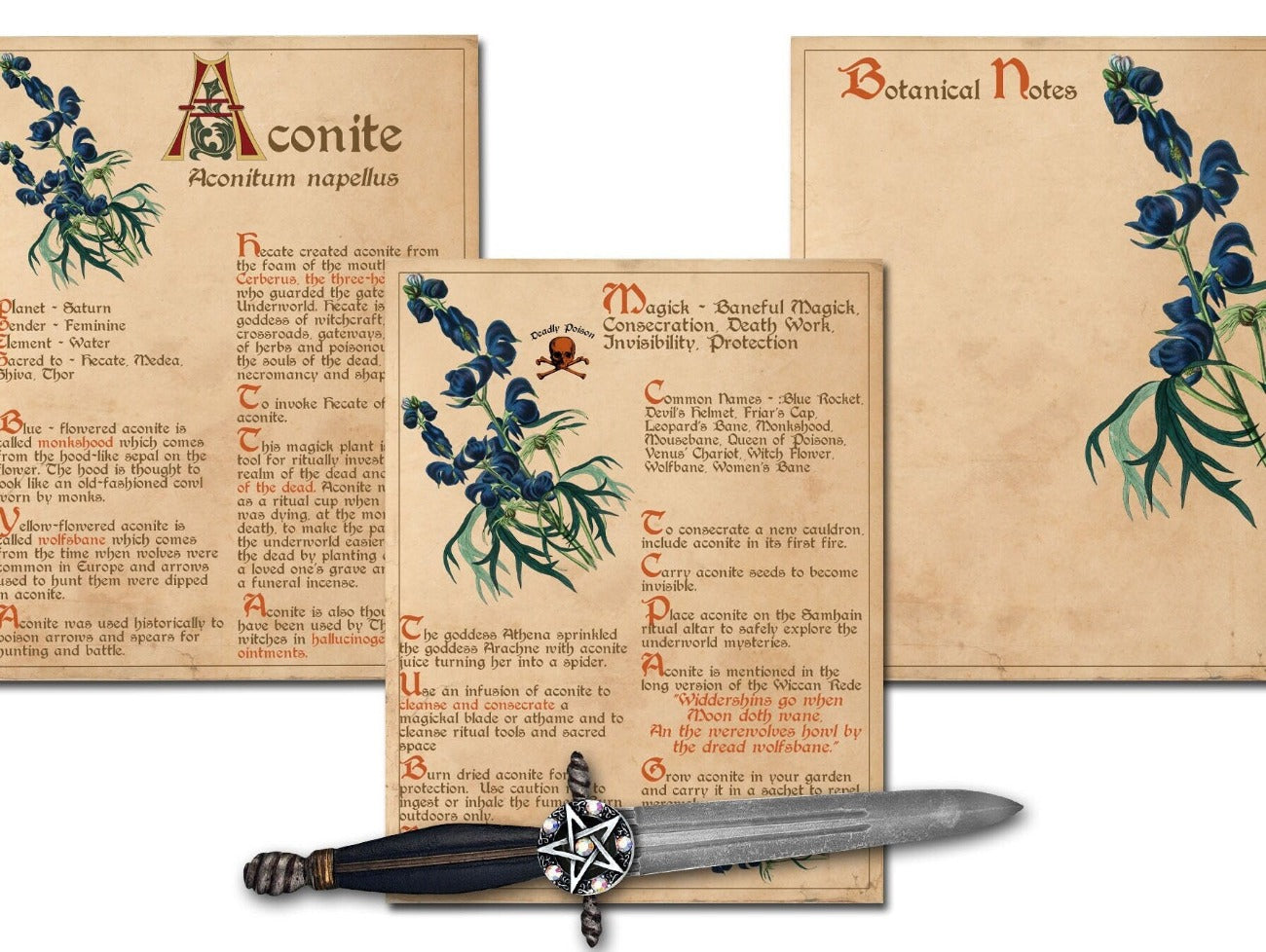 ACONITE BANEFUL HERB Printable 3 Pages - Morgana Magick Spell