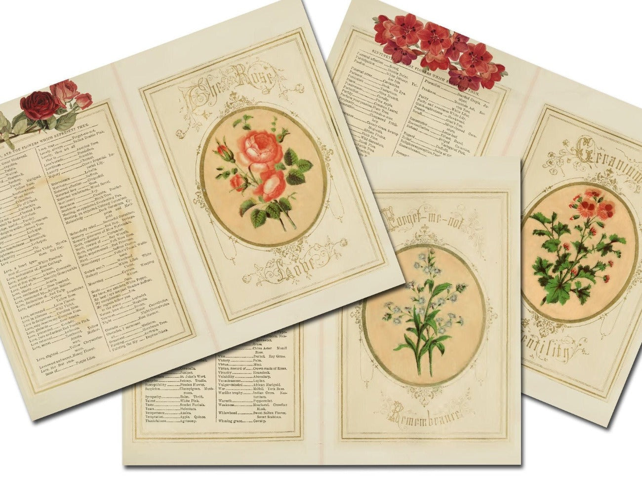 LANGUAGE of FLOWERS, Junk Journal Kit, 10 Printable Pages, Vintage Floral Art, Romantic Floral Messages, Antique Grimoire, Secret Admirer - Morgana Magick Spell