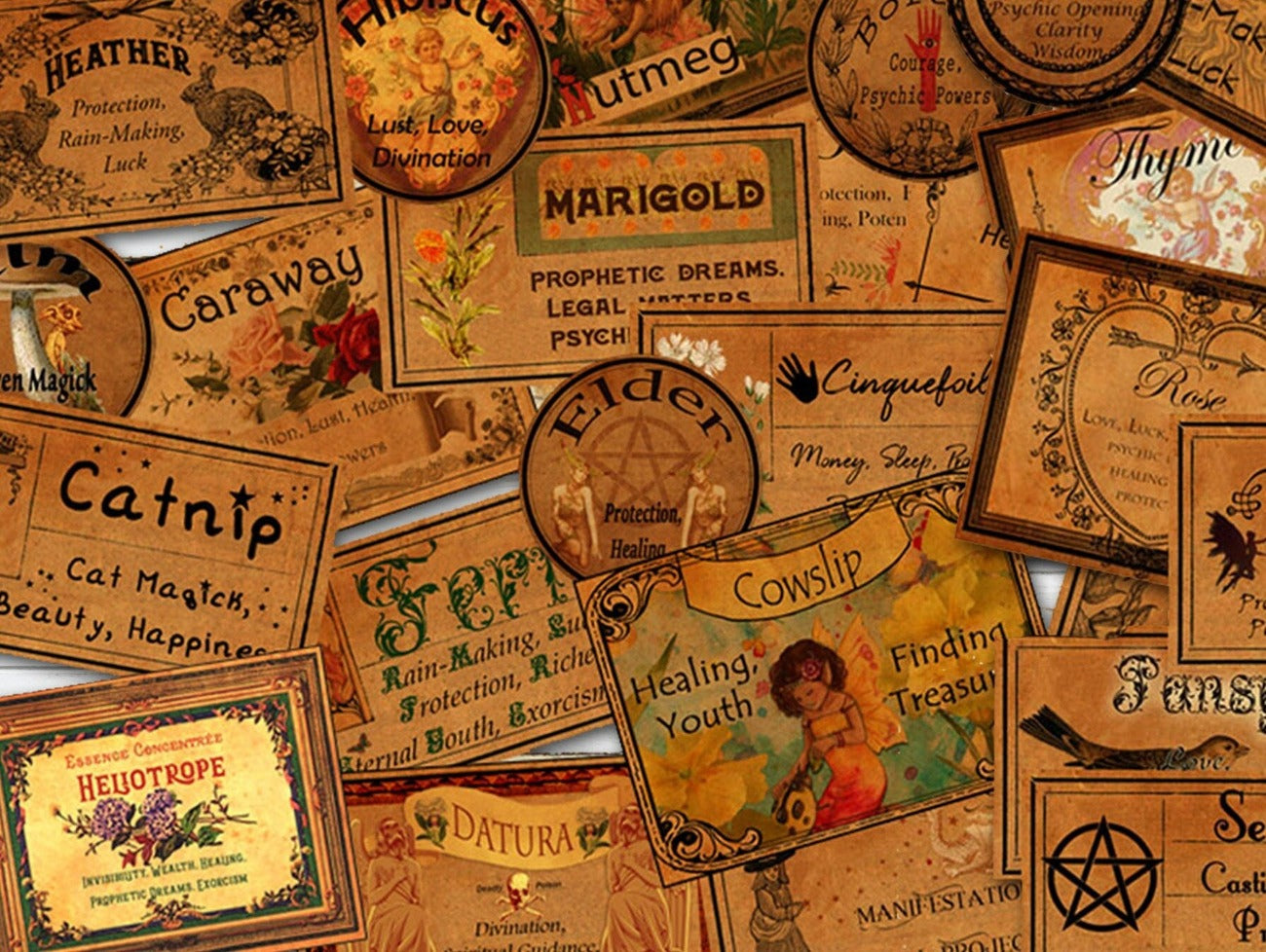 70 WITCHCRAFT LABELS Printable Herbs and their Magickal Uses - Morgana Magick Spell