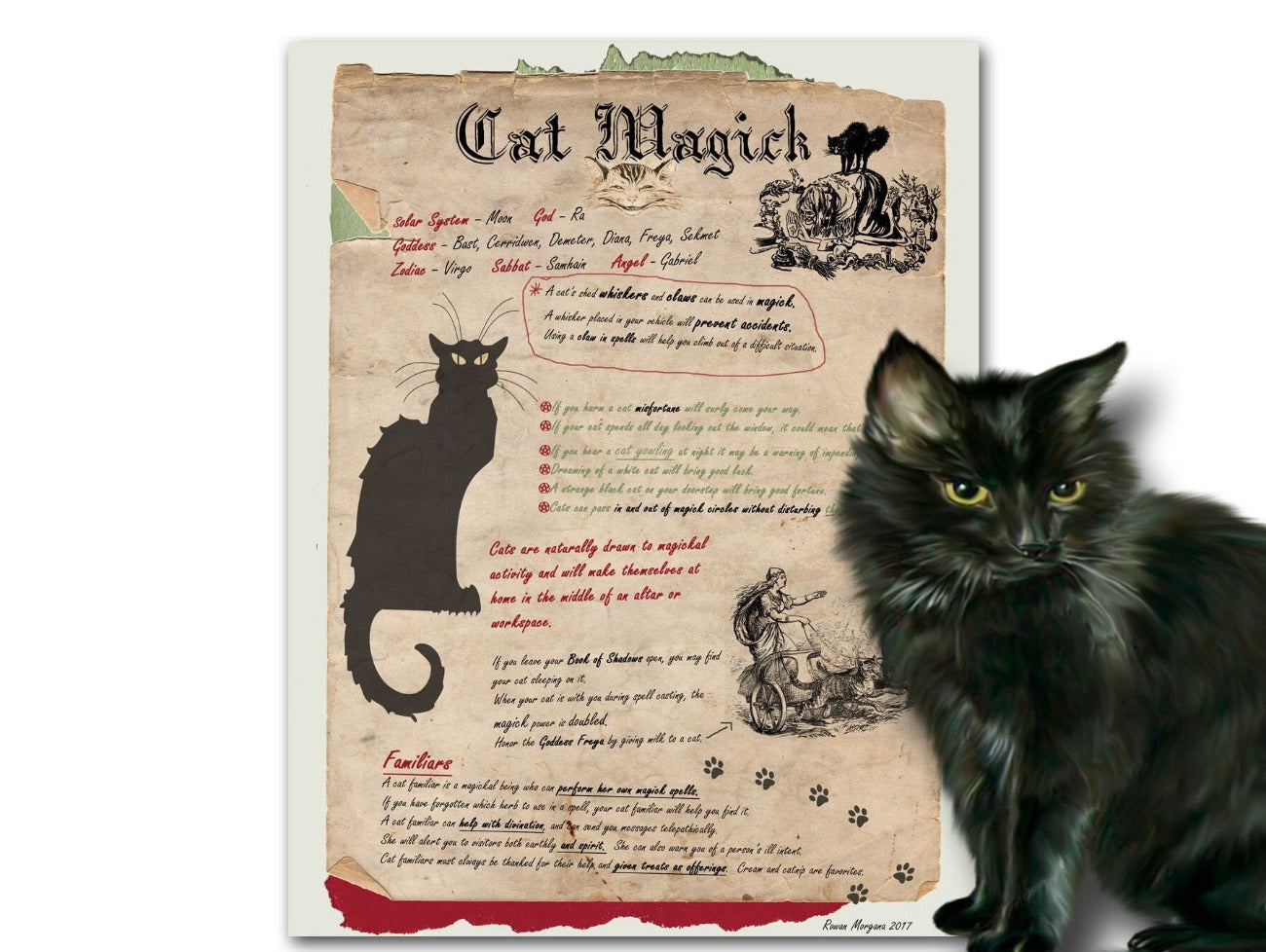 CAT MAGIC, Information Correspondences, Cat Folklore, Witchcraft Feline Magic Spell, Wicca Spirit Animal Magic Familiar, Halloween Black Cat - Morgana Magick Spell