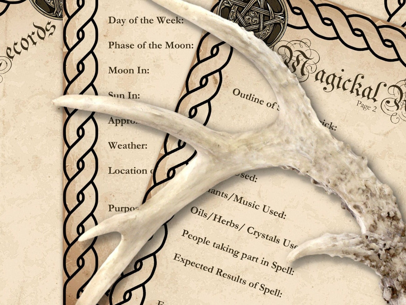 MAGICKAL RECORDS, close-up view of the parchment pages andtext - Morgana Magick Spell