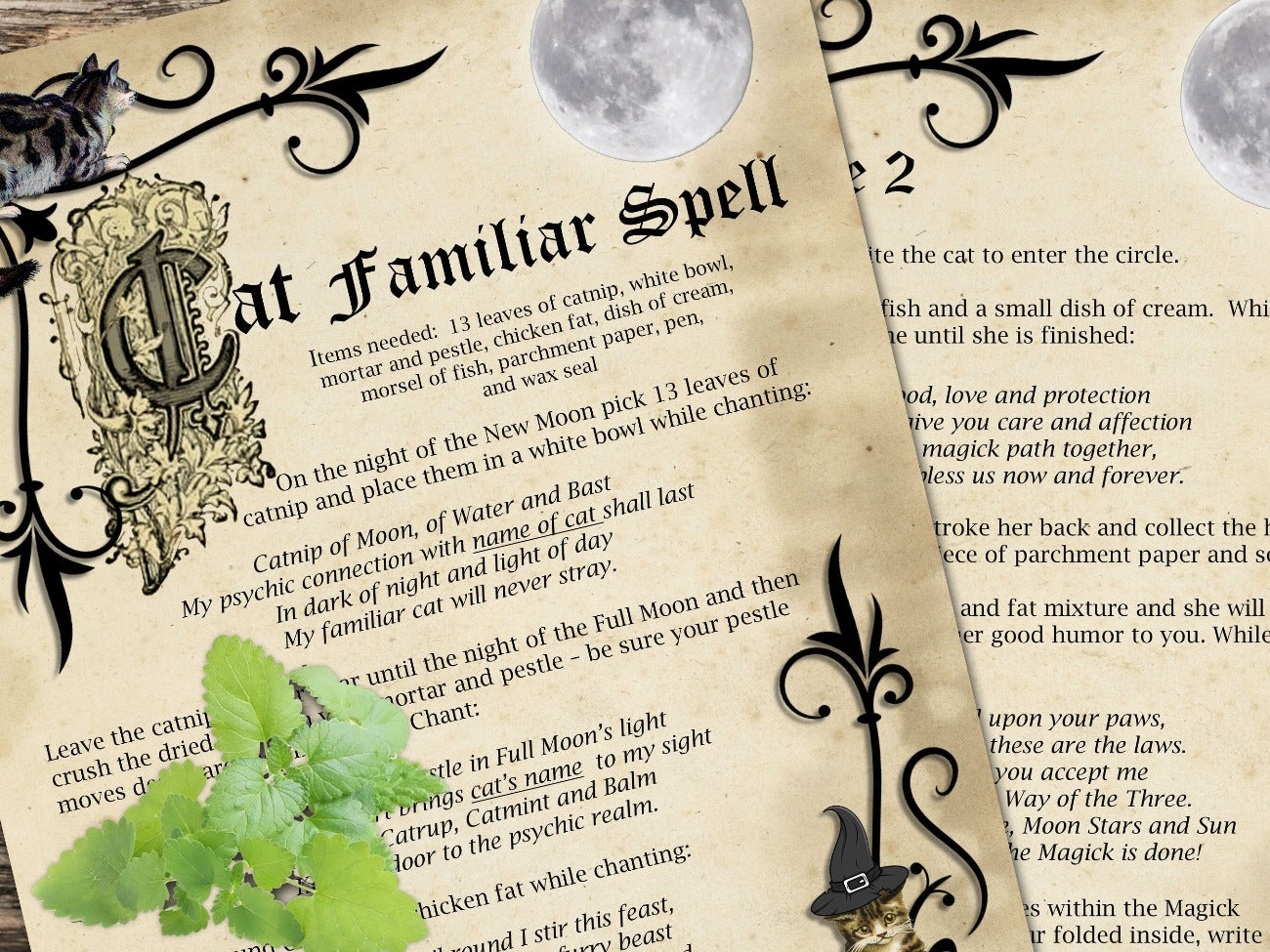 CAT FAMILIAR SPELL 2 Pages, Get a Cat Familiar, Witchcraft Animal Spirit Totem Guide, Pet Magic, Spirit Helper, Shaman Shape-Shifter - Morgana Magick Spell