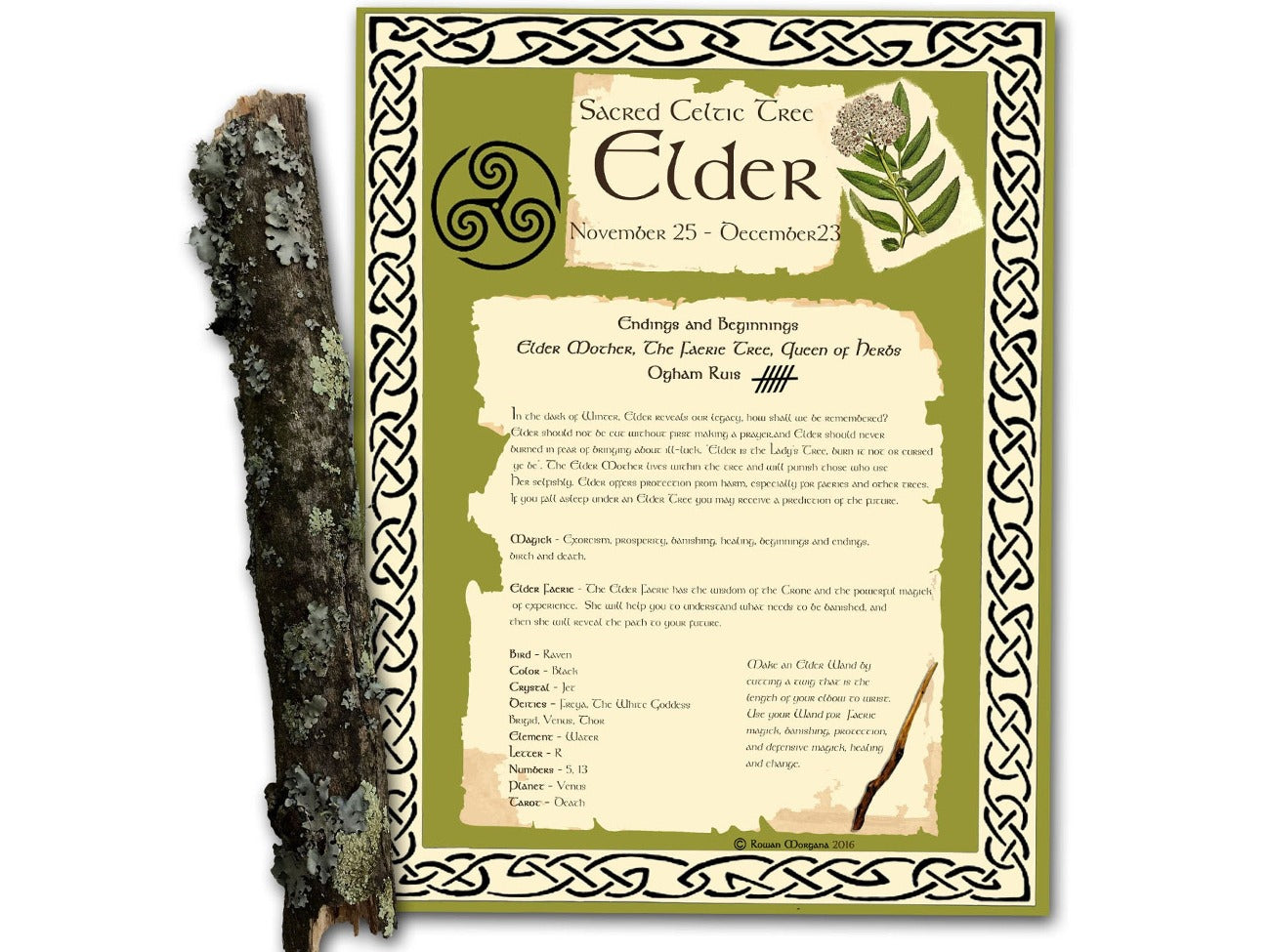 CELTIC TREES Bundle 15 Pages, Wicca Witchcraft Druid Tree Months, Celtic Tree Calendar, The Druids Calendar, Celtic Tree Month Ogham Lore- Morgana Magick Spell