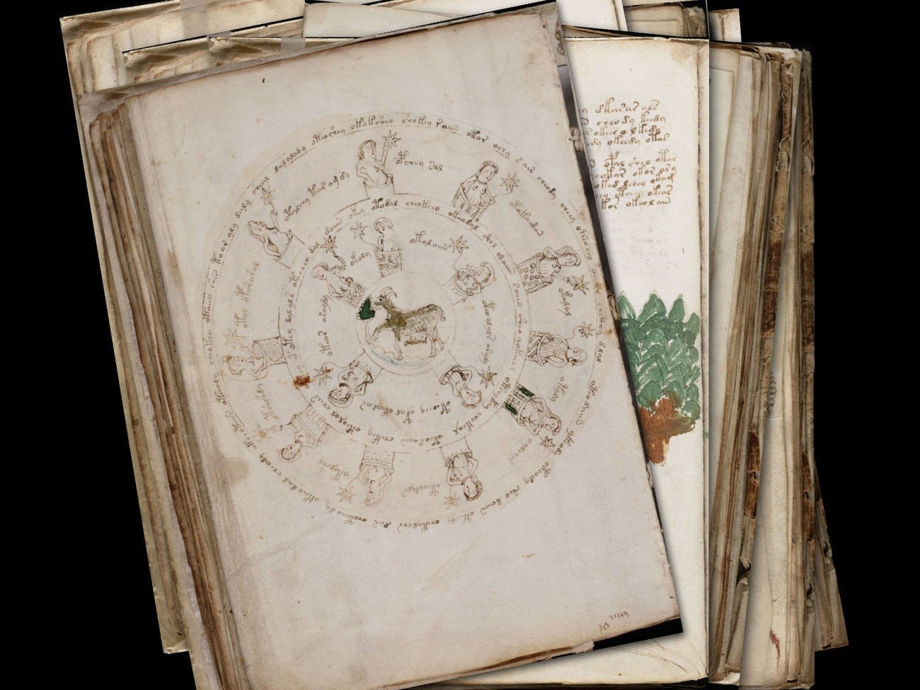 Close-up image of one page of the Voynich Manuscript showing script and image detail- Morgana Magick Spell