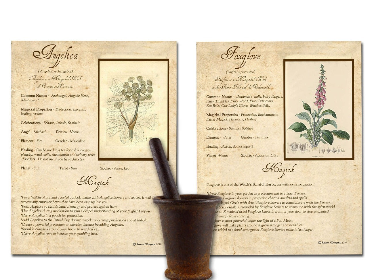 WITCH&#39;S HERBS Bundle 10 Pages, Witch Herb Correspondences, Herbal Grimoire, Witchcraft Plant Uses, Herbal Reference, Wicca Witch Printable - Morgana Magick Spell